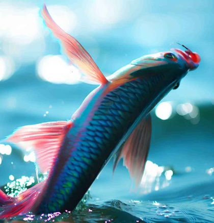 Піленгас поспішає на штурм українських лиманів: Промисловики запропонували уряду програму, як катастрофу рибної галузі перетворити на стрімке відродження