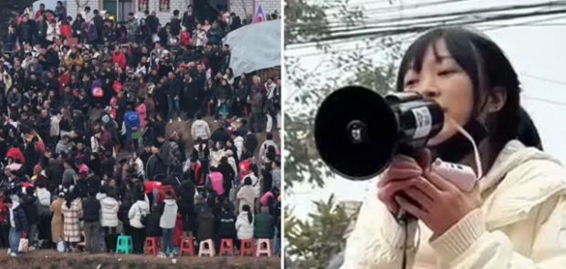 Щира дівчина не уявляла, до чого призведе заклик у мережу допомогти пустити на святкові наїдки її двох свиней