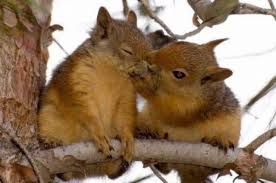 .Народні прикмети на 19 лютого. Секрет домашньої випічки на Архипів день та забобони, чому українки цього дня ніколи не бралися за віник