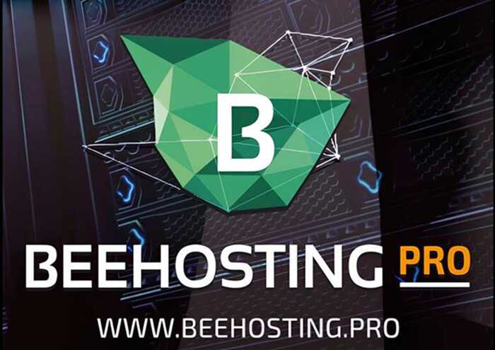 BeeHosting: how the “best hosting in Europe” turned into a story of shut-down servers, missing money, and fake ratings