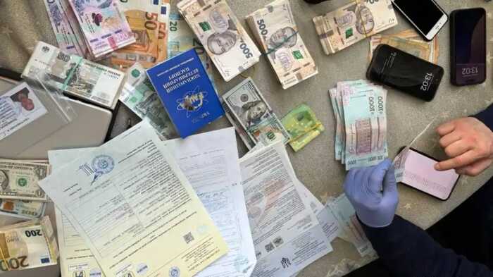 У столиці викрили схему поборів у ветклініках: за швидкі документи вимагали тисячі гривень