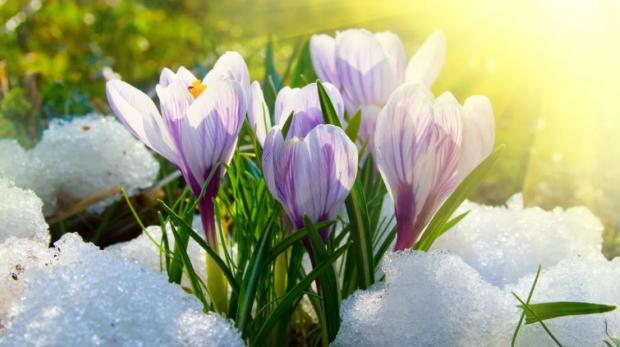 Погода здивує! Синоптикиня Діденко розповіла про різке похолодання в Україні