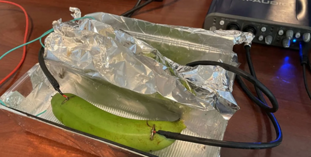 Банан замість дорогого кабелю: Що показав гучний експеримент на форумі diyAudio