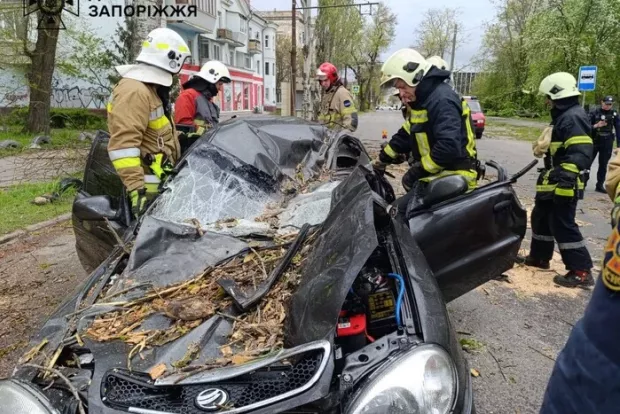 Деблокували вже мертве тіло: У Запоріжжі дерево вбило чоловіка в автівці (фото)