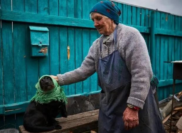 А ти, Шарик, пройшов реєстрацію?