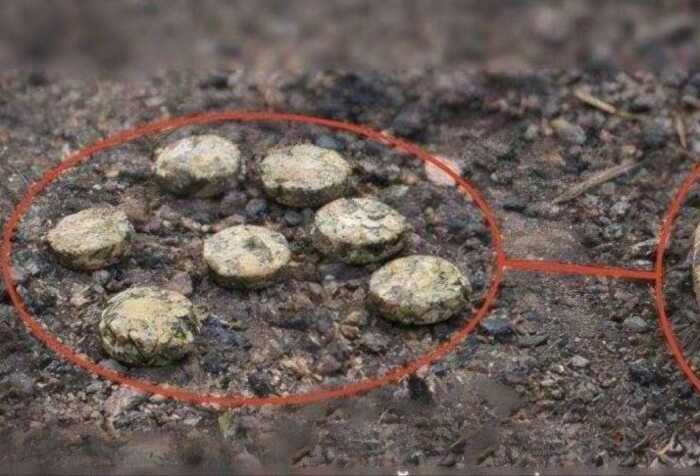 На Сумщині загинув чоловік, який підірвався на ворожій міні біля власного будинку